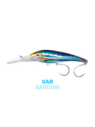Sardine
